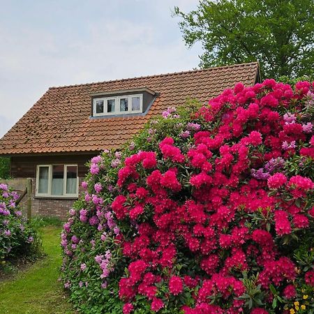 Holiday Home Countryside, Langbroek / Доорн Екстер'єр фото