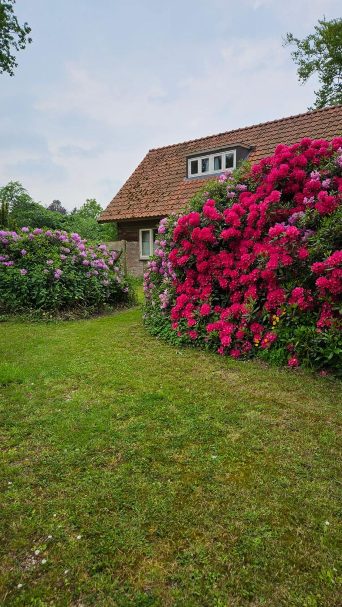 Holiday Home Countryside, Langbroek / Доорн Екстер'єр фото