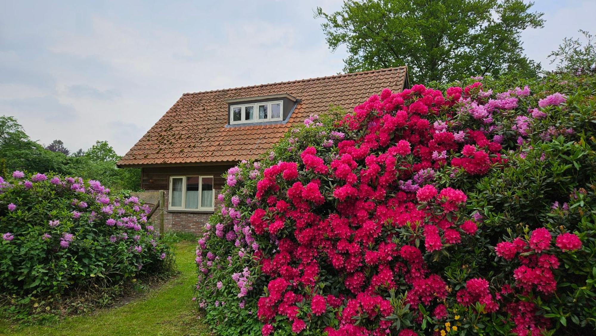 Holiday Home Countryside, Langbroek / Доорн Екстер'єр фото